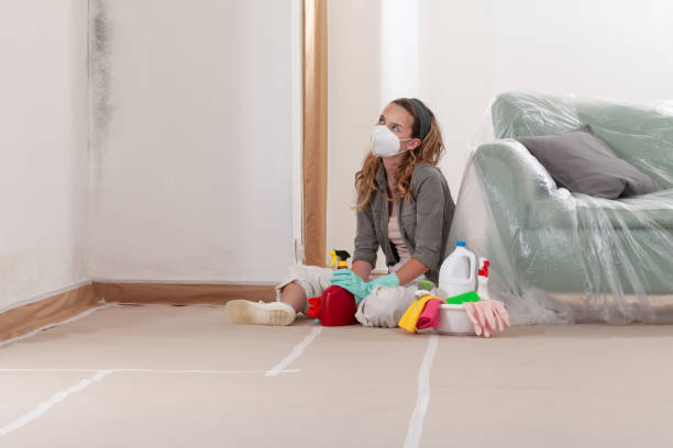 Reliable Mold Cleanup contractor in Bennett, NC by Cheap Mold Removal